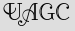 Security Captcha