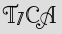 Security Captcha